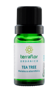 Óleo Essencial de Tea Tree Orgânico